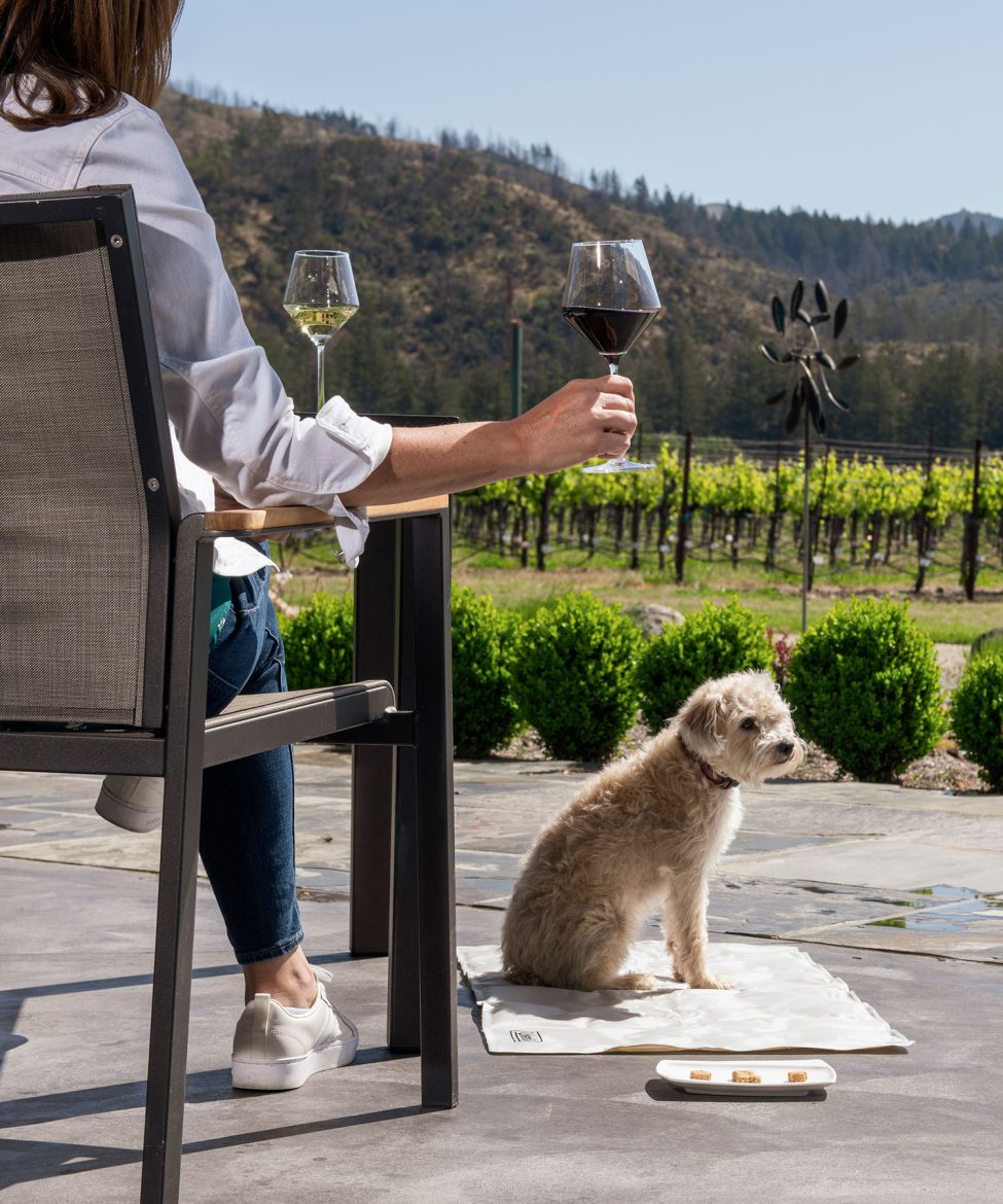 Dog friendly wineries