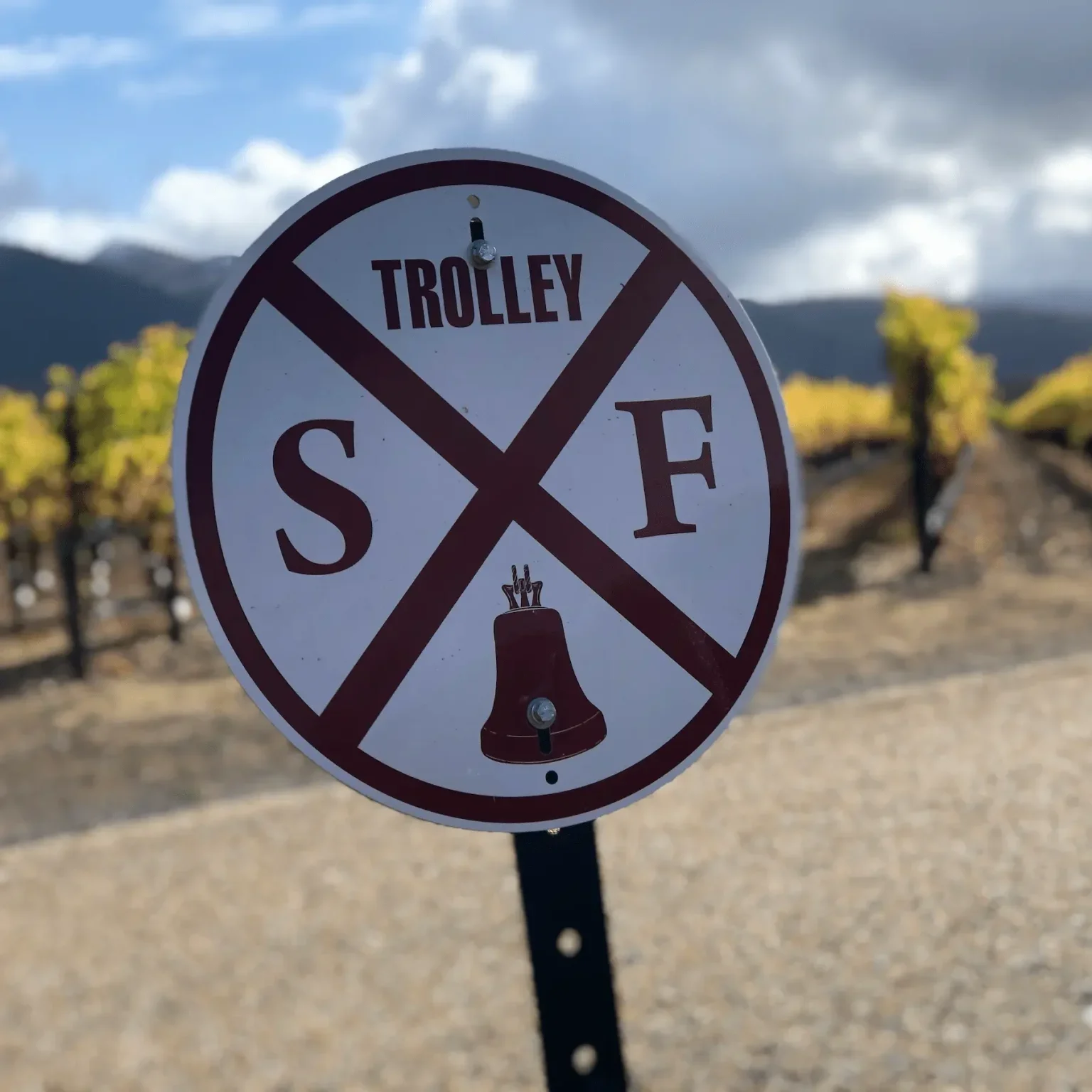 unique wine experiences at sonoma wineries