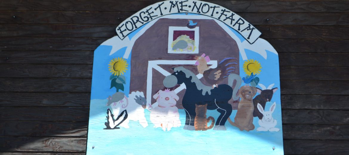 Forget Me Not Farm