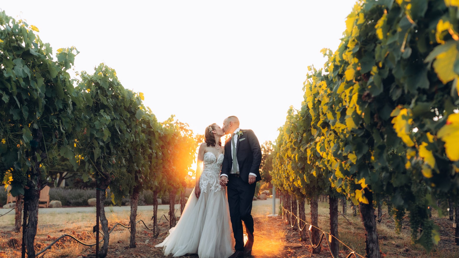 Wedding_Vines