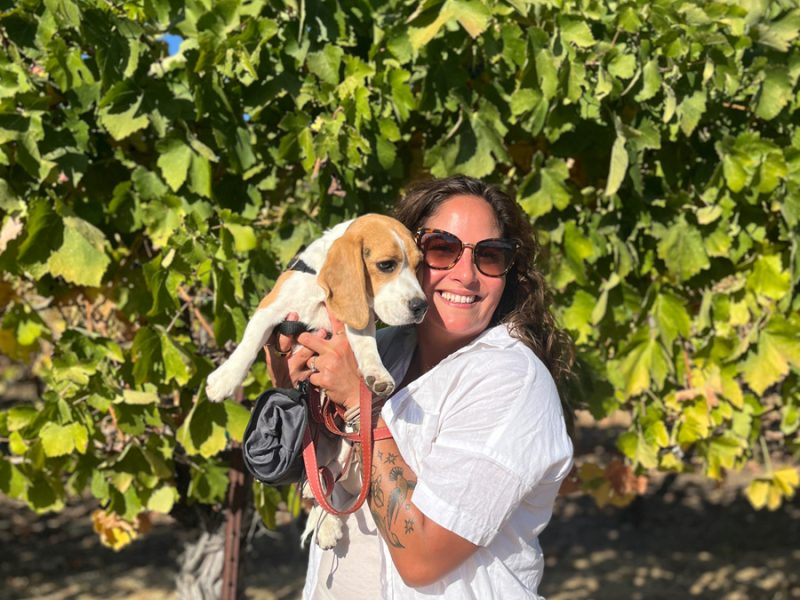 Sonoma Winery St. Francis Blessing of the Animals first Sunday in October