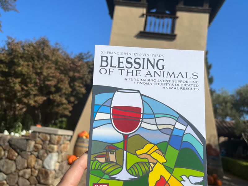 Sonoma Winery Blessing of the Animals