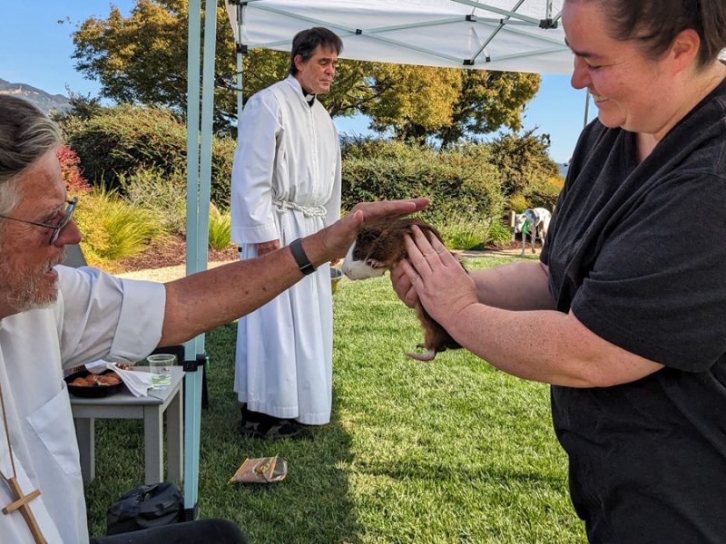 Sonoma Winery St. Francis Blessing of the Animals first Sunday in October