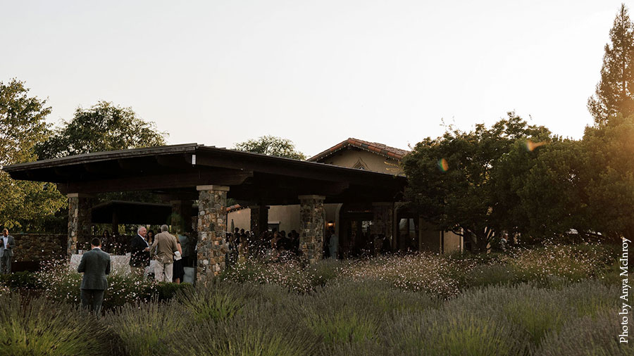 Elegant Vineyard Portico