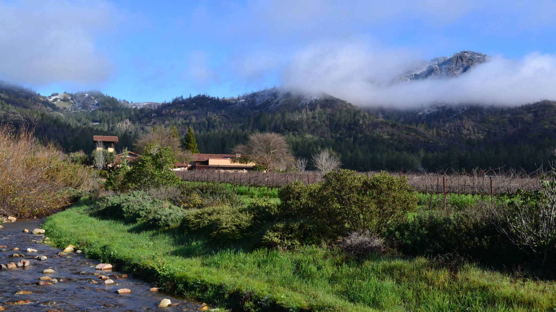 Tower view winter in Sonoma